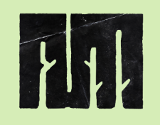 Aspen Micro logo