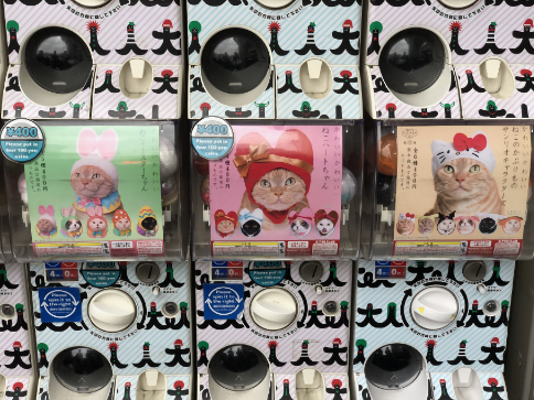 Bank of capsule stations with cat hats